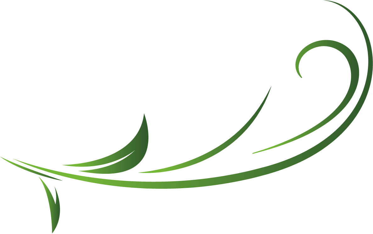 New_GraphismeVERT__AM_Hypnose & Sons_Vectorisé_20.12.2023